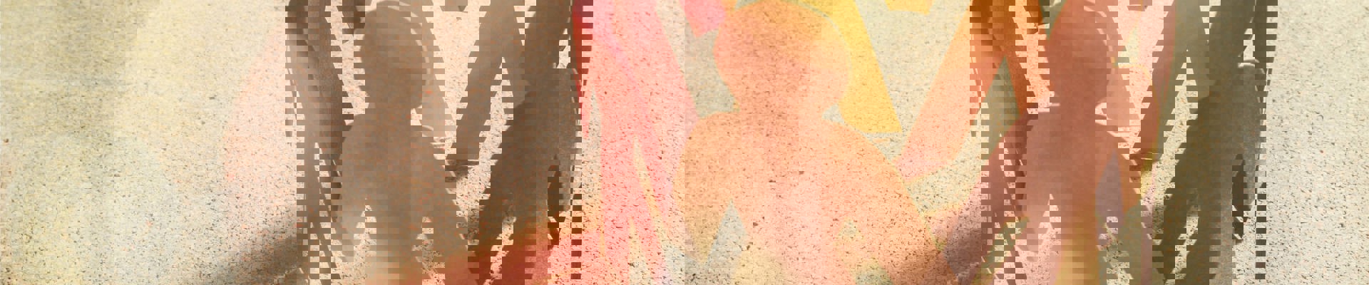 Shutterstock 597498365