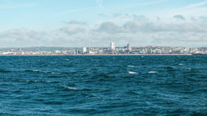 Brighton Sea Golden