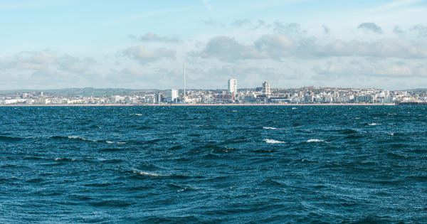 Brighton Sea Golden