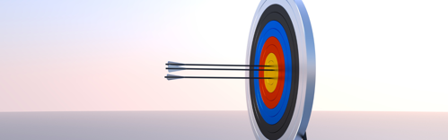 a target with arrows in the centre, representing skill