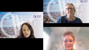 C And C Webinar Screenshot 1 Golden