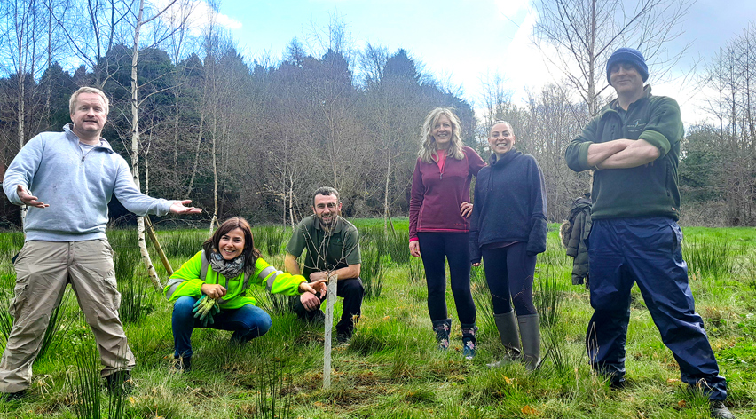 Woven employees doing some tree planting