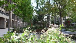 Green London Housing Development Golden