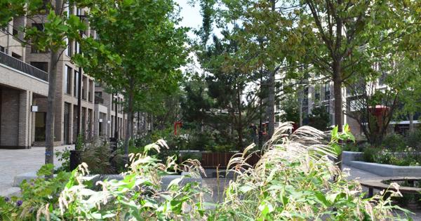 Green London Housing Development Golden