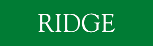 Ridge 300X90