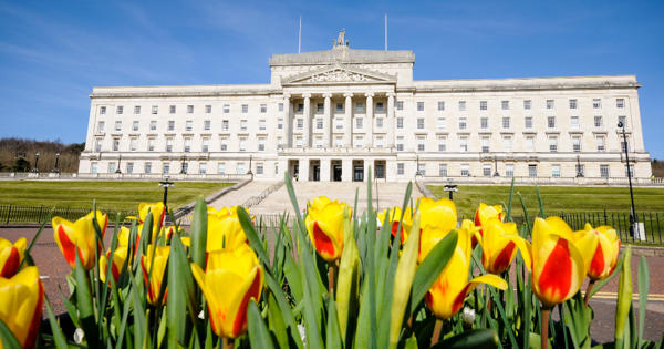 Stormont Spring Golden
