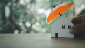 House Cutout Umbrella